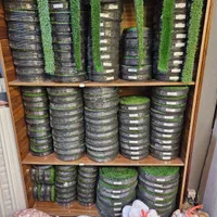 چمن مصنوعی (آسیا)|خدمات باغبانی و درختکاری|مشهد, امیریه|دیوار