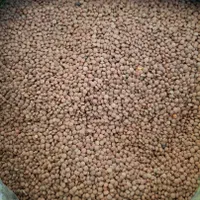 مرکز پخش عمده حبوبات اصفهان|خوردنی و آشامیدنی|اصفهان, غدیر|دیوار