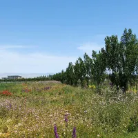 زمین دارای مجوزگلخانه گرجان|فروش زمین و ملک کلنگی|اردبیل, |دیوار