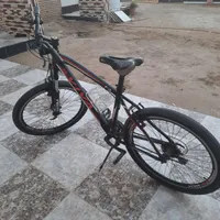 دوچرخه ویوا ۸ دهنده سبک