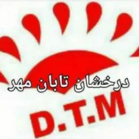 قالیشویی و خشک شویی مبلمان کیانشهر|خدمات نظافت|تهران, کیانشهر|دیوار