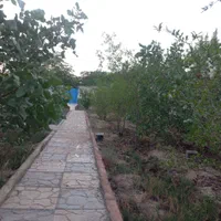فروش باغچه ۵۰۰ متری روستای ایجدان ورامین|فروش خانه و ویلا|جوادآباد, |دیوار