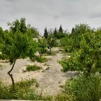 اجاره روزانه باغ ویلا|اجارهٔ کوتاه‌مدت ویلا و باغ|پاکدشت, |دیوار