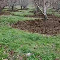 شخم زنی به قیمت پارسال