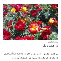 خاک روف گاردن و خاک باغچه|خدمات باغبانی و درختکاری|تهران, آجودانیه|دیوار