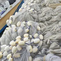 طور محاصره ای نونو