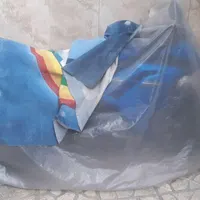 کاوازاکی نینجا ۲۵۰