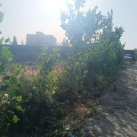 تهاتر با اپارتمان و ماشین