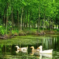 دوبلکس/سند دار/با شرایط اقساط|فروش خانه و ویلا|اصفهان, بهار آزادی|دیوار