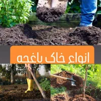 طراحی،اجرای فضای سبز،باغچه امورباغبانی،تعویض گلدان|خدمات باغبانی و درختکاری|اصفهان, خانه اصفهان|دیوار