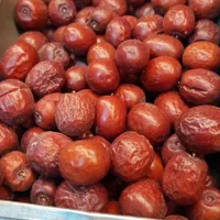 مثقالی فقط ۸۰ت (انواع زعفران و خشکبار)|خوردنی و آشامیدنی|قائن, |دیوار