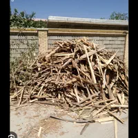 به چند کارگر ساده در چوب بری نیازمندیم ثابت+ بیمه
