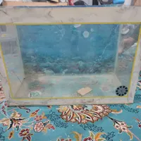آکواریوم