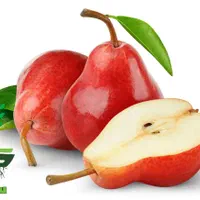 نهال گلابی رد آنجو  (sabzevarnahal)|گل و گیاه طبیعی|سبزوار, کهنه آب|دیوار