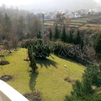 عمارت ویلایی 570متری بر فراز تپه جنگلی|فروش خانه و ویلا|نور, |دیوار