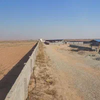 فروش ۲ هکتار دامداری|فروش دفتر صنعتی، کشاورزی، تجاری|آبسرد, |دیوار