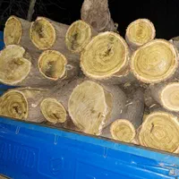 خریدار انواع چوب خشک و تر|خدمات باغبانی و درختکاری|کرمانشاه, |دیوار