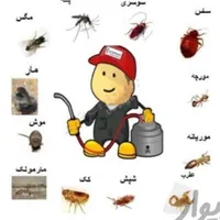 سمپاشی کافیه یک مرتبه سم پاشی مبارز را انتخاب کنید|خدمات نظافت|زاهدان, |دیوار