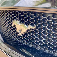 اجاره خودرو/رنت ماشین/کرایه اتومبیل/موستانگ|خودرو اجاره‌ای|کیش, |دیوار