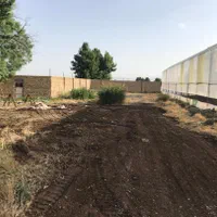 فروش گلخانه27432متری امیتازات کامل سند6دانگ ورامین|فروش دفتر صنعتی، کشاورزی، تجاری|ورامین, |دیوار