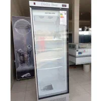 یخچال ایستاده الکترواستیل مدل آدرین تک درب