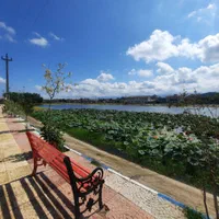 اجاره سوییت دو خواب ۸۰ متری در لنگرود ، شمال|اجارهٔ کوتاهمدت آپارتمان و سوئیت|لنگرود, |دیوار