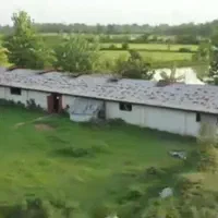 ۶۰ هزار متر زمین محصور گیلان با انشعابات کامل|فروش دفتر صنعتی، کشاورزی، تجاری|کوچصفهان, |دیوار