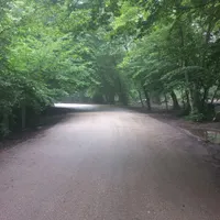 تنها
