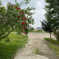 ویلادربست باتراس وحیاط زیبا،ویک سوییت ۵۰ متری|اجارهٔ کوتاه‌مدت ویلا و باغ|شفت, |دیوار