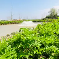 *سوییت *در باغ ویلای زیبای* ۳۲۰۰ *متری|اجارهٔ کوتاه‌مدت آپارتمان و سوئیت|رشت, گلباغ نماز|دیوار