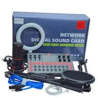 میکروفون BM6000 با کارت صدای Dragon D208|سیستم صوتی خانگی|تهران, ونک|دیوار