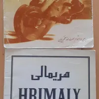 ویلن استاندارد برند Lamur Domigues با کتاب و وسایل|ویولن|رشت, معلم|دیوار