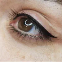 آرایش دائم میکرو بلیدینگ فیبروز مدل تتو تاتوبدن|خدمات آرایشگری و زیبایی|تهران, هاشمی|دیوار