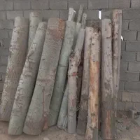 خریدچوب‌سقفی/قعط‌درخت|عمده‌فروشی|مشهد, بهمن|دیوار