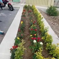 خدمات باغبانی تعویض خاک گل سمپاشی باغچه کاری شخم|خدمات باغبانی و درختکاری|تهران, زعفرانیه|دیوار