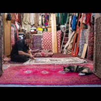 قالیشویی(کل تهران) سرویس رایگان مبل شویی رفوگری|خدمات نظافت|تهران, پونک|دیوار