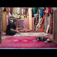 قالیشویی(کل تهران) سرویس رایگان مبل شویی رفوگری|خدمات نظافت|تهران, پونک|دیوار