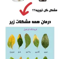قرص کود گیاهان آپارتمانی