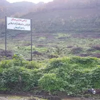 فروش زمین ۱۲۰ متری در شیخ زاهد|فروش زمین و ملک کلنگی|لاهیجان, شیخ زاهد|دیوار