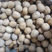 پخش عمده انواع گردو و بادام هندی با مجوز گمرکی|خوردنی و آشامیدنی|اصفهان, مفتح|دیوار