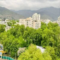 ۴۷۰متر پنت هاوس * ۵خواب با سوییت مجزا*|اجارهٔ آپارتمان|تهران, الهیه|دیوار