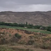 باغ فروشی پر محصول و پر آب|فروش دفتر صنعتی، کشاورزی، تجاری|تهران, حسن‌آباد|دیوار