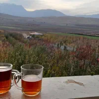 اجاره ویلا باغ حشمت آباد|اجارهٔ کوتاه‌مدت ویلا و باغ|دورود, |دیوار