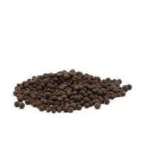 بهار فلفل(فلفل بهاره)|خوردنی و آشامیدنی|تهران, اراج|دیوار