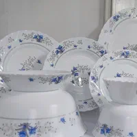 سرویس آرکوپال 28 پارچه(پارس اپال) کد 120پارس اوپال|ظروف سرو و پذیرایی|تبریز, |دیوار