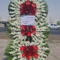 گل فروشی دلنواز|گل و گیاه طبیعی|تهران, شکوفه (عبدل آباد)|دیوار
