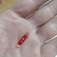 جیوه اصل|کلکسیون اشیاء عتیقه|تهران, جردن|دیوار