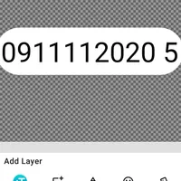 09111120205