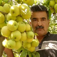 خدمات باغبانی گلبهار|خدمات باغبانی و درختکاری|گلبهار, |دیوار