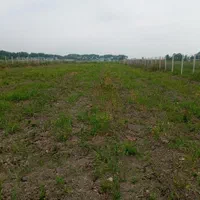 ملک در بهترین مکان نزدیک به گرگان|پیشفروش املاک|گرگان, |دیوار